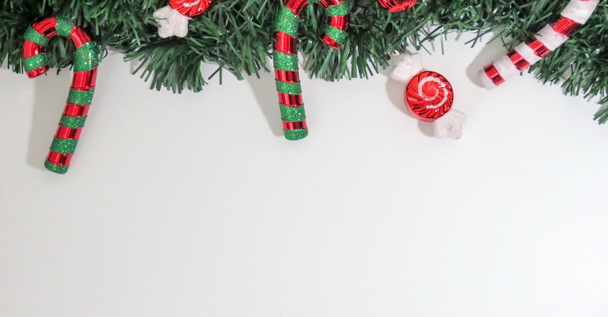 Weihnachtliche Dekoration mit grüner Tannengirlande, roten und grünen Zuckerstangen sowie Bonbons auf weißem Hintergrund